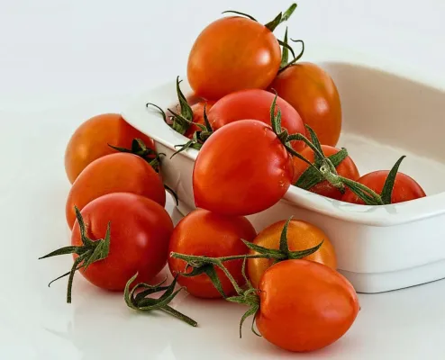 Ökologischer Biolandbau setzt auf Langzeitprodukte Bild: Ökologischer Biolandbau setzt auf Langzeitprodukte