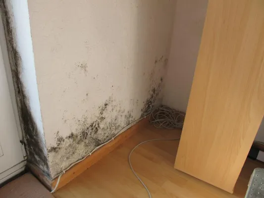 Bild: Schadenverhütung: Gesund wohnen – Schimmel vermeiden