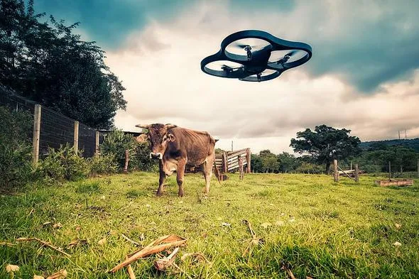 RESET Spezial: Drones and Satellites for Good – Wie Drohnen und Satelliten die Welt retten Bild: RESET Spezial: Drones and Satellites for Good – Wie Drohnen und Satelliten die Welt retten