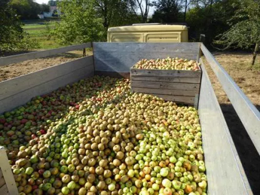 Bild: Apfelsaft zum Weltkindertag: Aramarks Wohltätigkeitstag lässt in diesem Jahr Kinderherzen höher schlagen