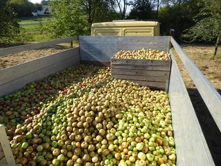 Bild: Apfelsaft zum Weltkindertag: Aramarks Wohltätigkeitstag lässt in diesem Jahr Kinderherzen höher schlagen