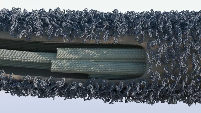 Bild: Forschungsteam entschlüsselt Struktur zellulärer Schutzschicht 