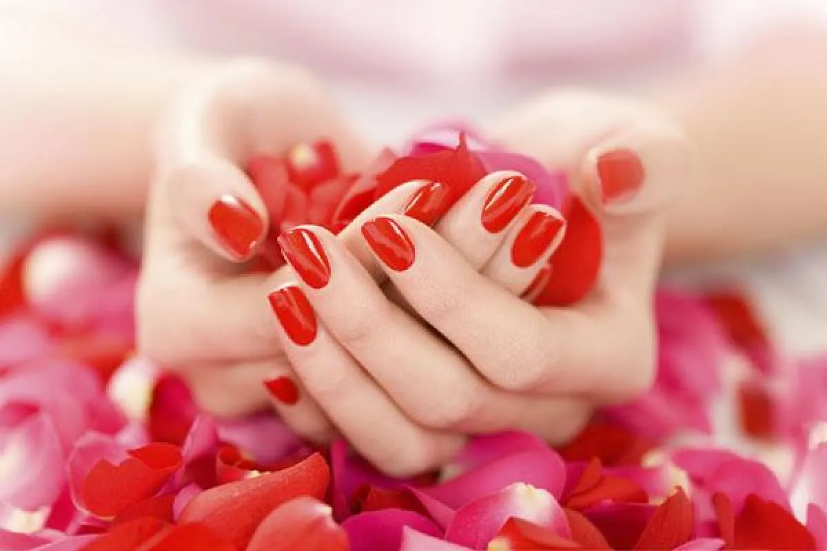 Elegance Gel Nail System