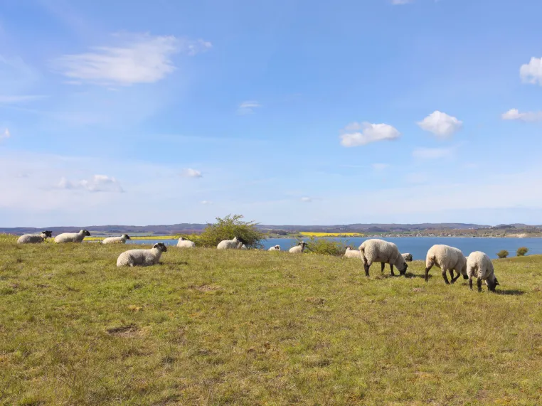 Bild: Das Biosphärenreservat Südost-Rügen - ein Urlaubsparadies schützen und erleben.