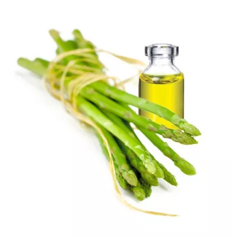 Bild: Fett – Freund oder Feind des Menschen