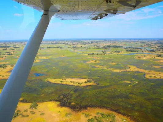 Bild: Im Privatflugzeug über das Okavango-Delta: Fly in–Safari von Lodge zu Lodge in Botswana