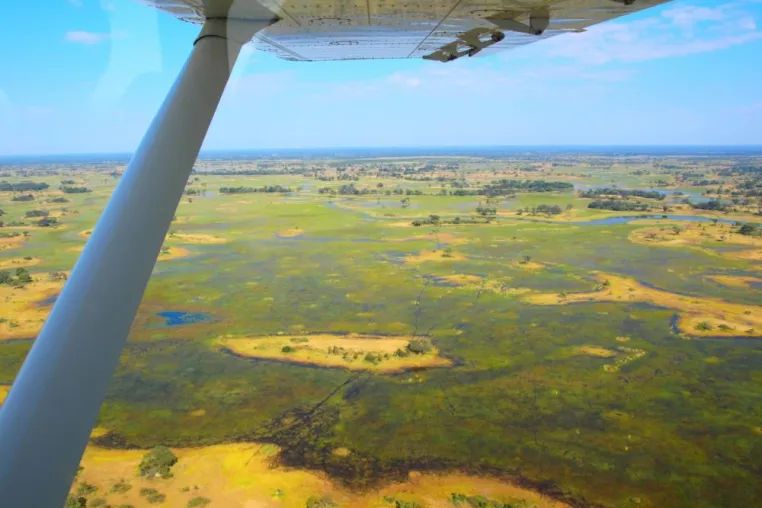 Im Privatflugzeug über das Okavango-Delta: Fly in–Safari von Lodge zu Lodge in Botswana Bild: Im Privatflugzeug über das Okavango-Delta: Fly in–Safari von Lodge zu Lodge in Botswana