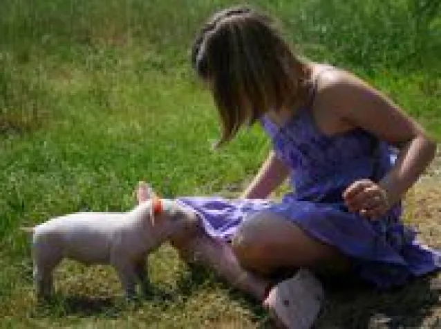 Günstige Fotos ganz exklusiv? Bild: Günstige Fotos ganz exklusiv?