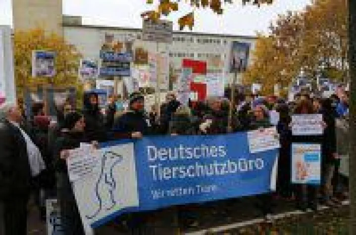 Bild: Groß-Demo vor Schweinehochhaus - 500 Teilnehmer erwartet
