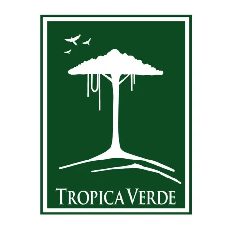 CI-Entwicklung für TROPICA VERDE e.V., Frankfurt Bild: CI-Entwicklung für TROPICA VERDE e.V., Frankfurt