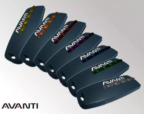 AVANTI-Antriebe revolutionieren den automatischen Allround-Torantrieb Bild: AVANTI-Antriebe revolutionieren den automatischen Allround-Torantrieb