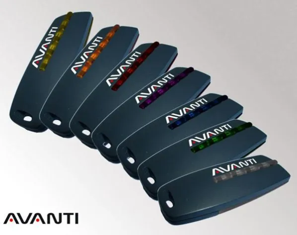 Bild: AVANTI-Antriebe revolutionieren den automatischen Allround-Torantrieb