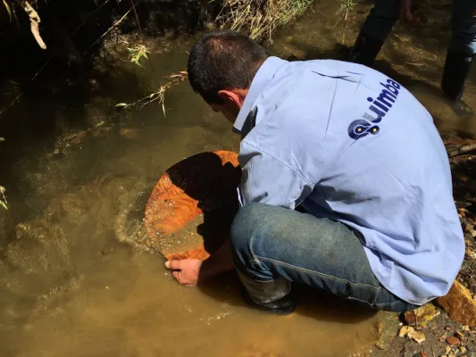 Bild: Quimbaya Gold: Neue Untersuchung soll Goldadersystem auf Tahami South aufdecken