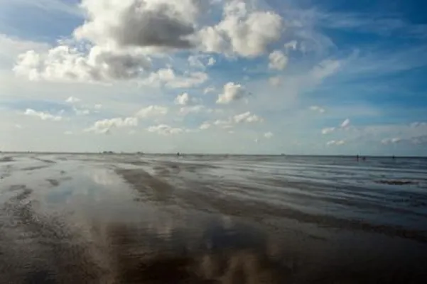 Bild: Auch im Herbst und Winter stehen Wattwanderungen bei Urlaubern im Nordseeheilbad Cuxhaven hoch im Kurs