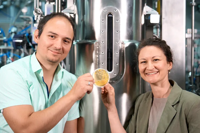 Bild: Maßgeschneiderte Hefen und skalierbare Bioprozesse für die industrielle Bioökonomie