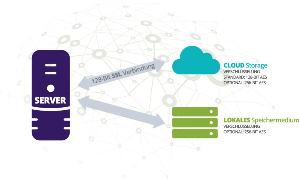 Hybride Datensicherung mit Carbonite Server Backup