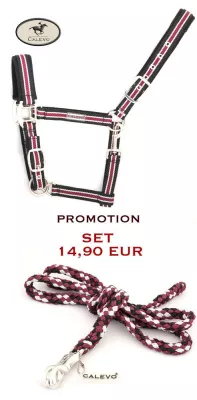 Bild: Hochwertige Halfter und Stricke von CALEVO