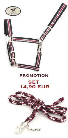 Bild: Hochwertige Halfter und Stricke von CALEVO