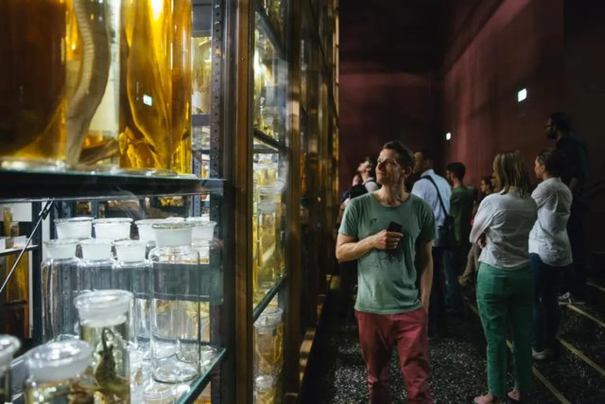 Experten und Enthusiasten diskutieren am 6. und 7. Nov. in Berlin über nachhaltige Bioinspiration