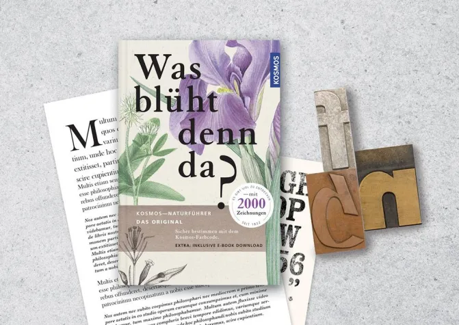 Bild: Peter Schmidt Group entwickelt neue Designsystematik für KOSMOS Verlag