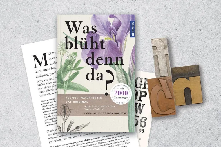 Bild: Peter Schmidt Group entwickelt neue Designsystematik für KOSMOS Verlag
