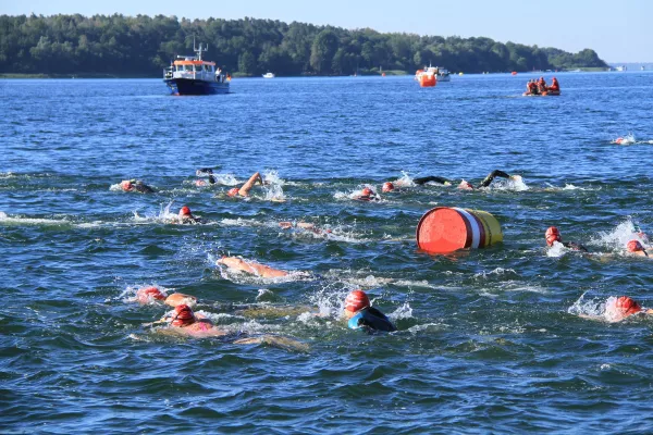 Bild: Müritzschwimmen im größten deutschen Binnensee
