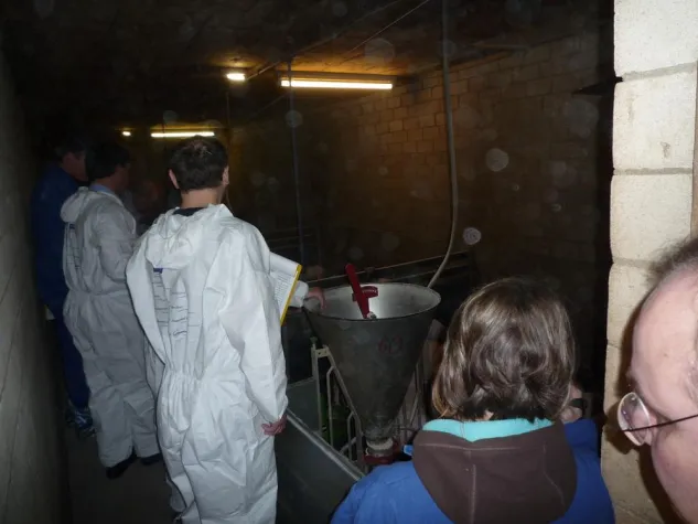 Bild: Schweinesignale - der Schweineflüsterer in der AVA