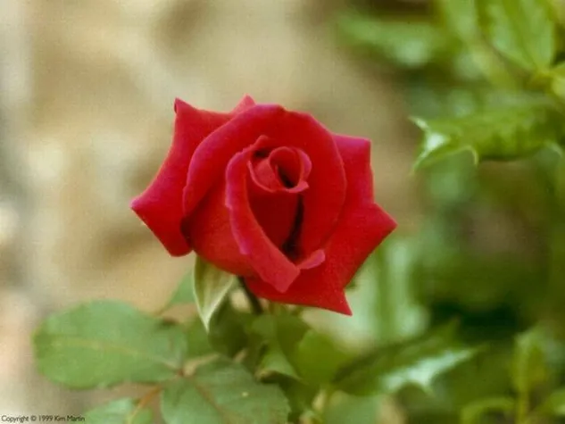 Unabhängiger Unfallgutachtenexperte Bild: Unabhängiger Unfallgutachtenexperte