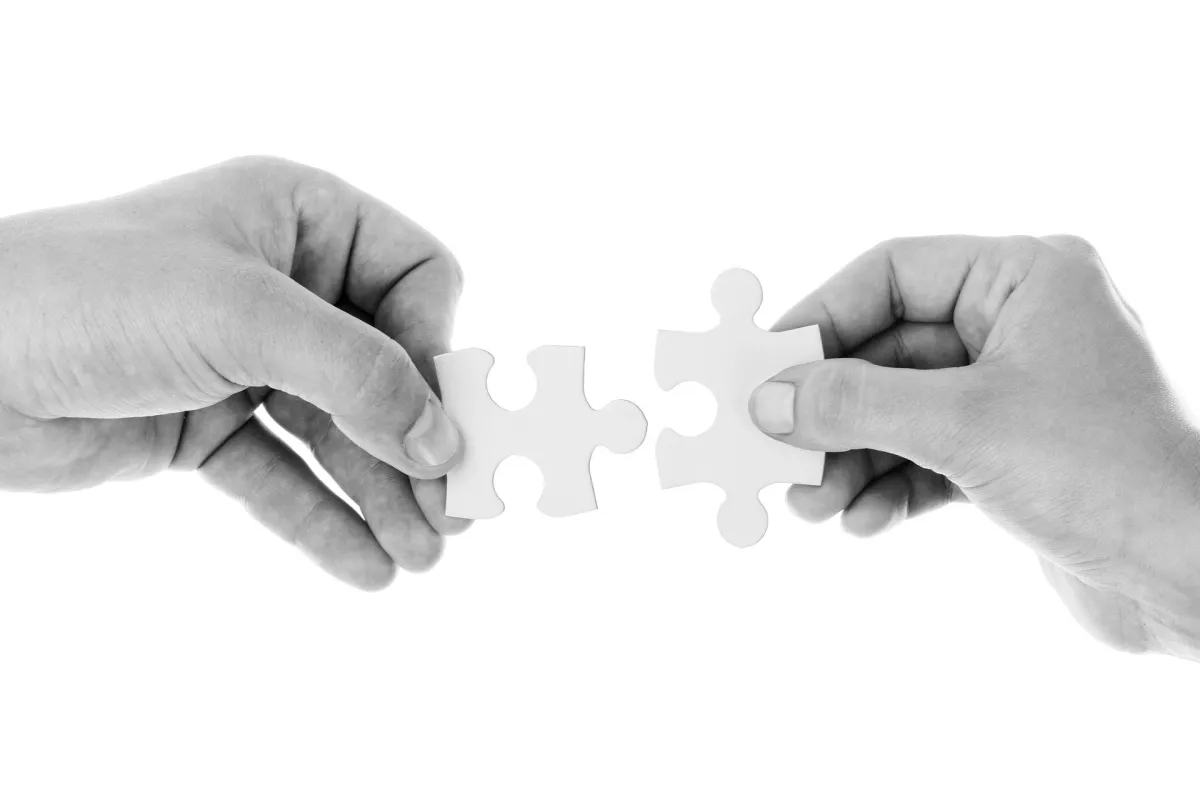 Geschäftsprozesse optimieren: FileMaker-Integration mit führenden SaaS-Plattformen (© PublicDomainPictures @ pixabay.de)