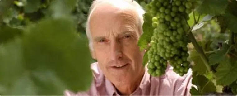 Bild: BELVINI.DE Weinversand baut Sortiment mit Weingut Baron Knyphausen aus