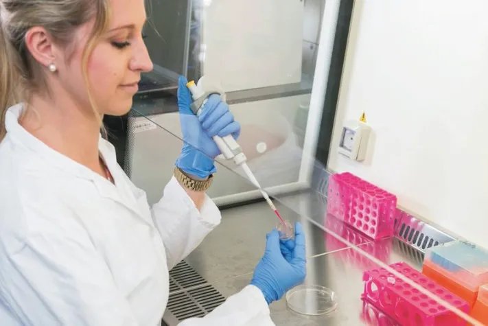 Bild: Organe auf Mikrochips für sichere Medikamententests