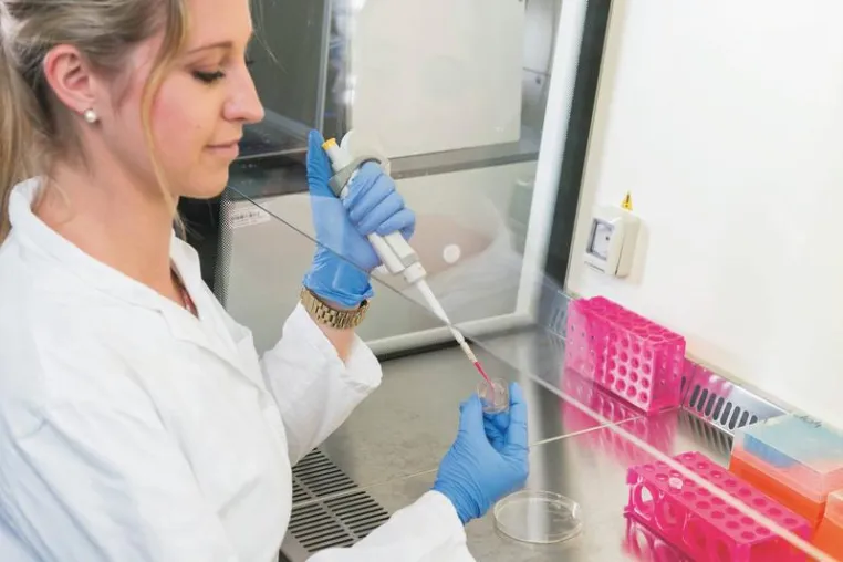 Bild: Organe auf Mikrochips für sichere Medikamententests