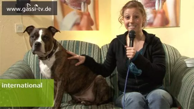 Bild: GASSI-TV goes international