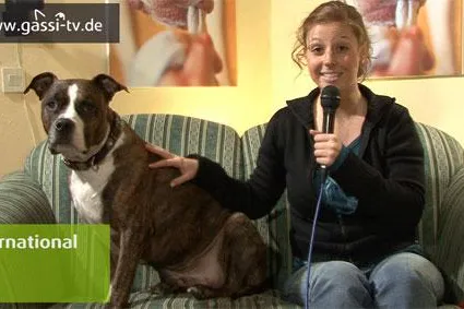 Bild: GASSI-TV goes international