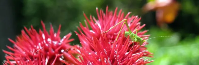 Bild: Achtsamkeit und funktionelles Fitness im Urlaub