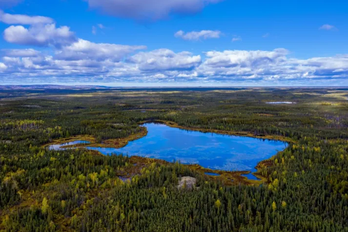 Bild: Rover Metals: Fundamental Research sieht über 70% Kurspotenzial