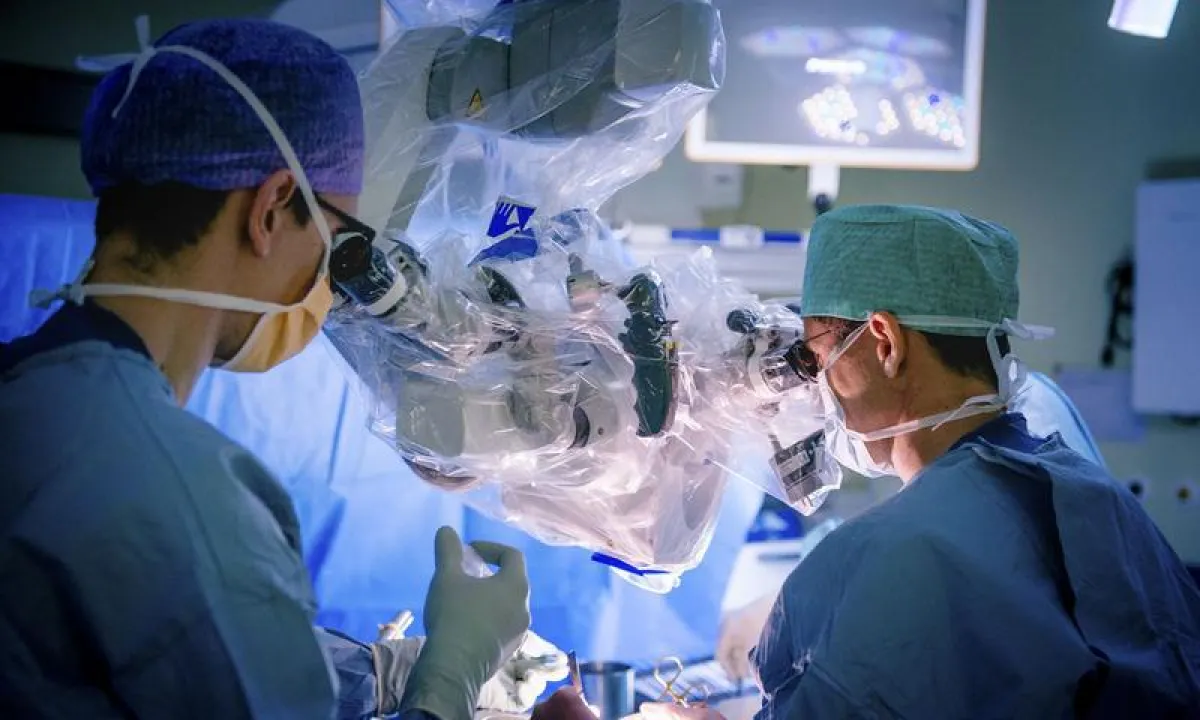 Neurosurgeons operate under the microscope. ((Tanja Läser for Insel Gruppe AG))