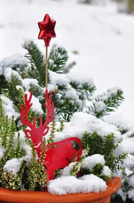 Bild: Alle Jahre wieder … endet im Dezember die Gartensaison