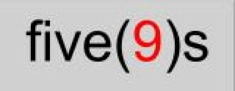 Bild: five(9)s: Bester neuer Expert Solution Provider 2007