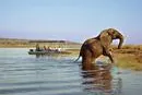 Bild: Mit TARUK nach Botswana und Namibia: Wasserschlacht in der Kalahari