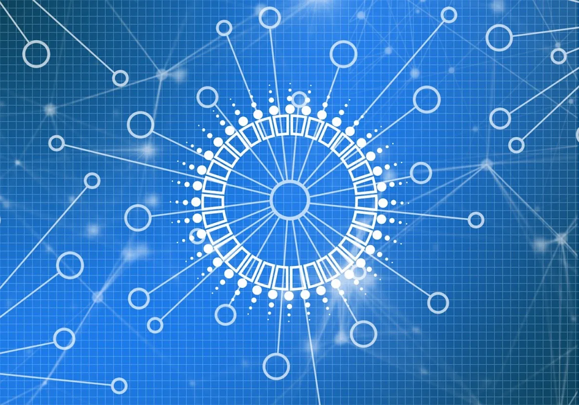 Cardano-Staking
