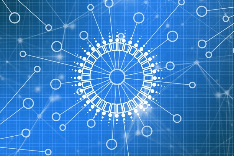 Bild: Was ist Cardano-Staking und wo kann ich ADA-Token kaufen?