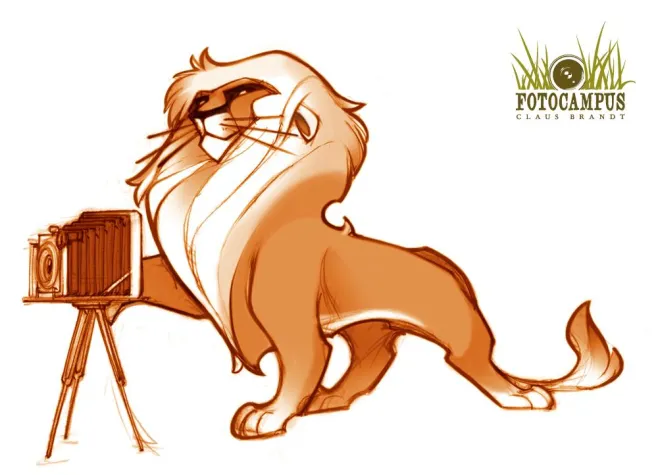 Bild: Workshop Tierfotografie - Naturzoo Rheine 11.-13.09.2009