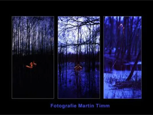 Bild: Fotodialoge-Fotokurs "Triptychon - Fotos mit Flügeln" am 08./09.06.2013 in Köln