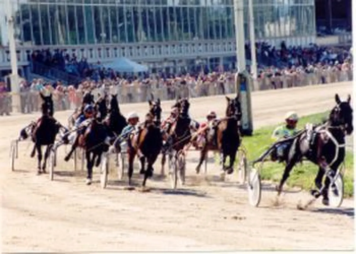 Gewinnt der Deutsche Wallach auf The BigM?