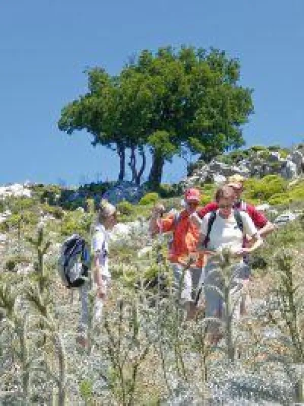 BU: Abstieg nach Monolithos, Rhodos, Foto: Wikinger Reisen. Abdruck honorarfrei, bitte nur mit Quellenangabe. Foto senden wir gern