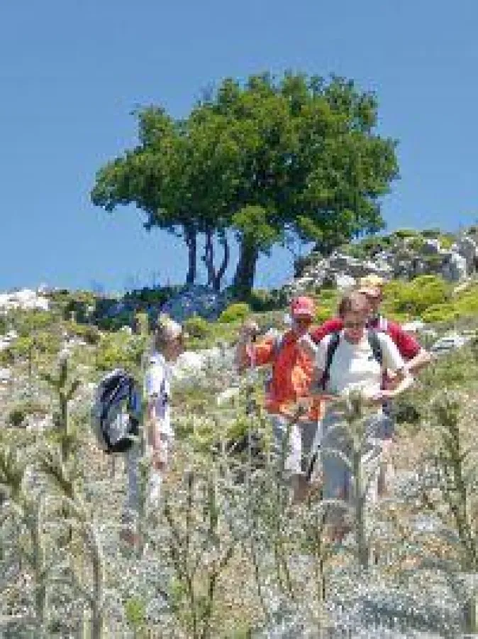 BU: Abstieg nach Monolithos, Rhodos, Foto: Wikinger Reisen. Abdruck honorarfrei, bitte nur mit Quellenangabe. Foto senden wir gern