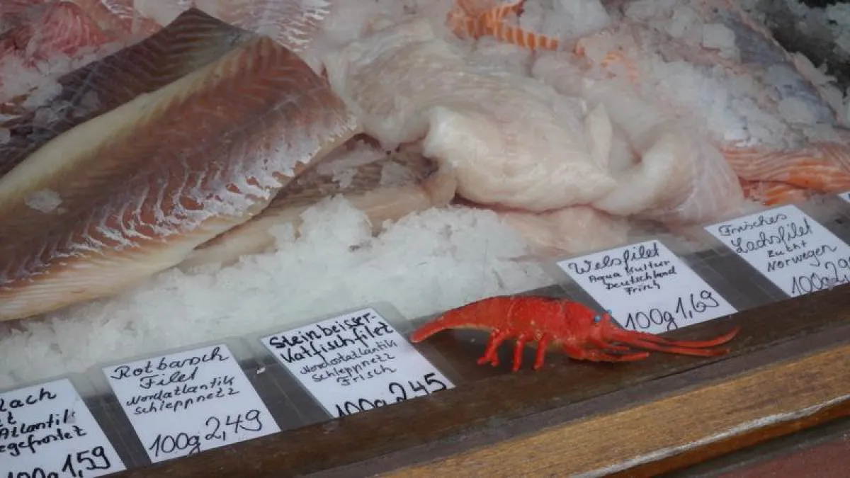 Auslage von Frischfisch im Fischladen. (Foto: S. Kaehlert, GEOMAR.)