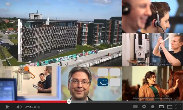 Bild: Oehm und Rehbein in bewegten Bildern