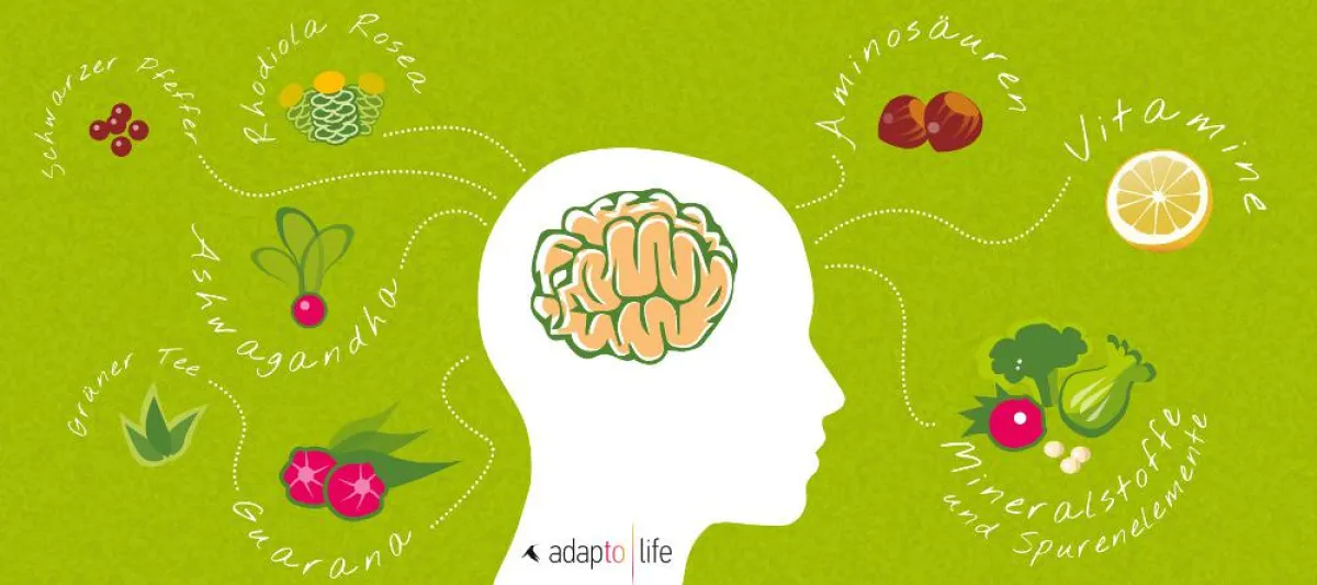Natürliche Brainpower - die Inhaltsstoffe von adaptoday
